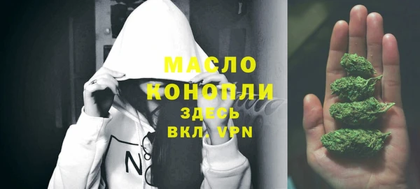 дмт Абаза
