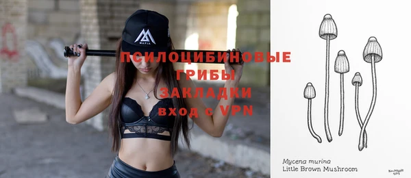 дмт Абаза