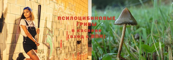 дмт Абаза