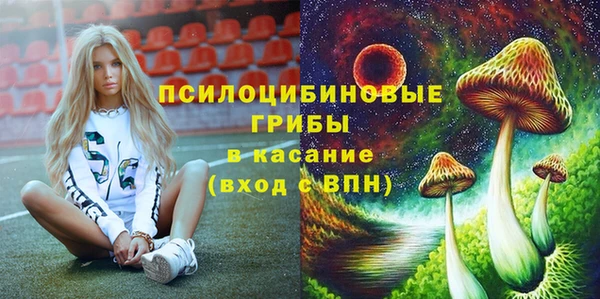 дмт Абаза